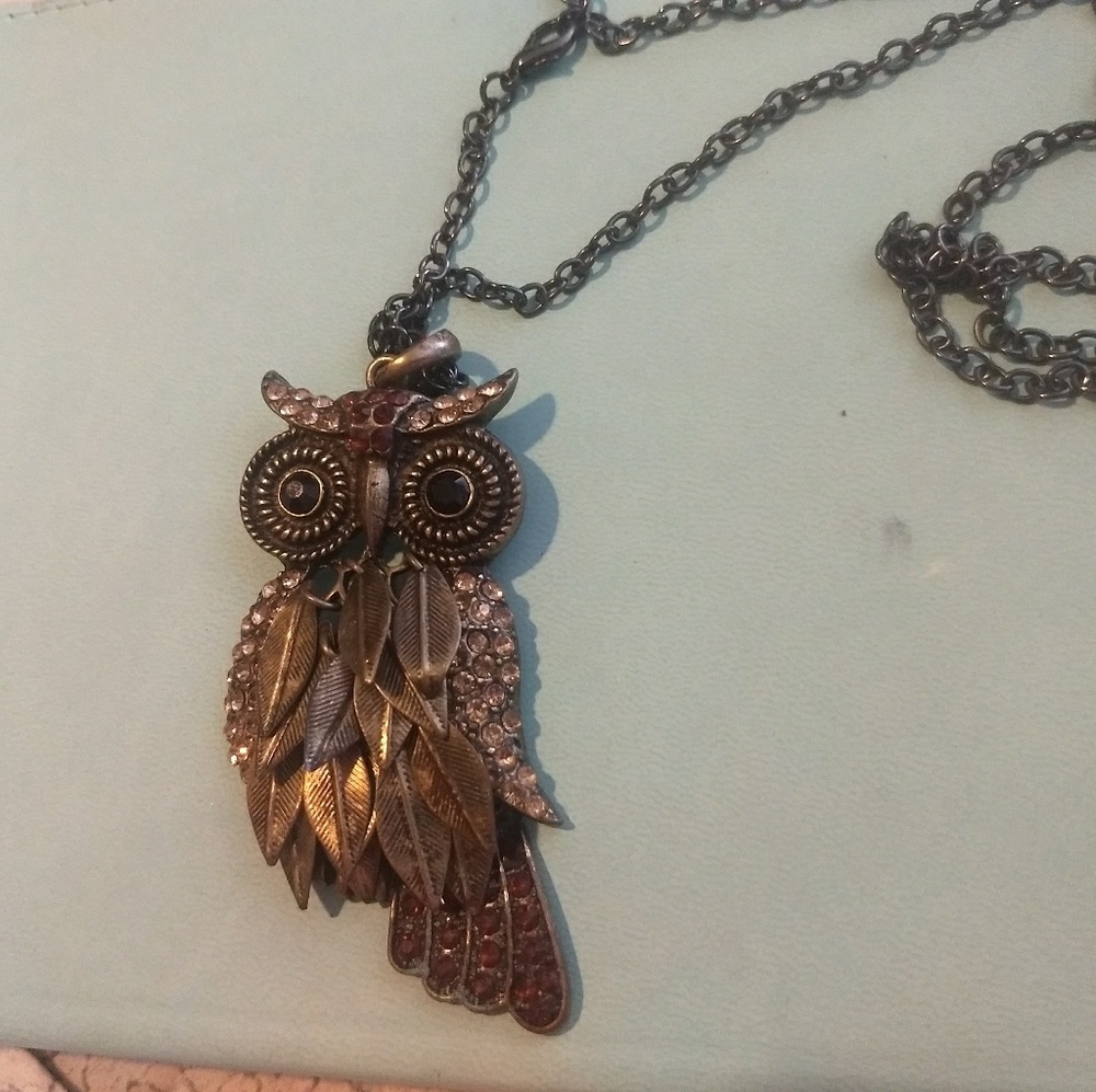 Long chain Owl Necklace